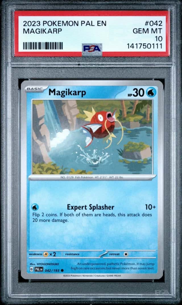 Magikarp
