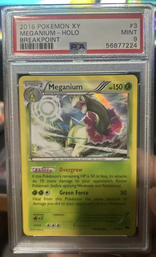 Meganium