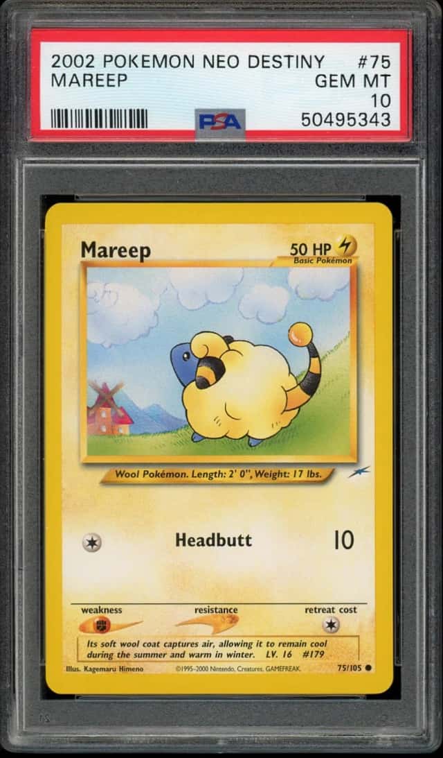 Mareep