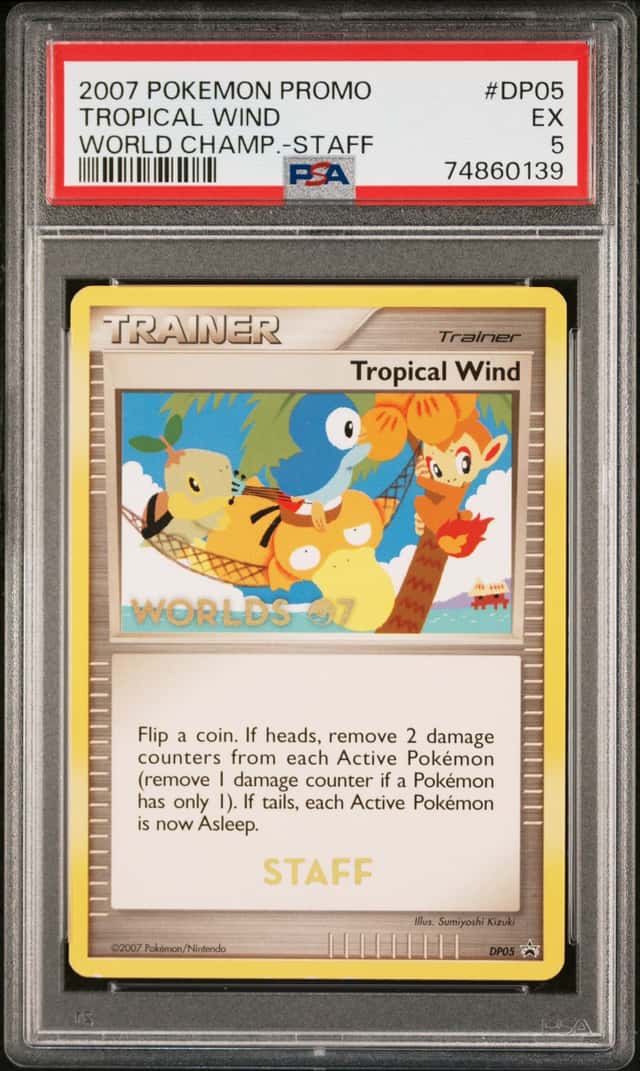Tropical Wind