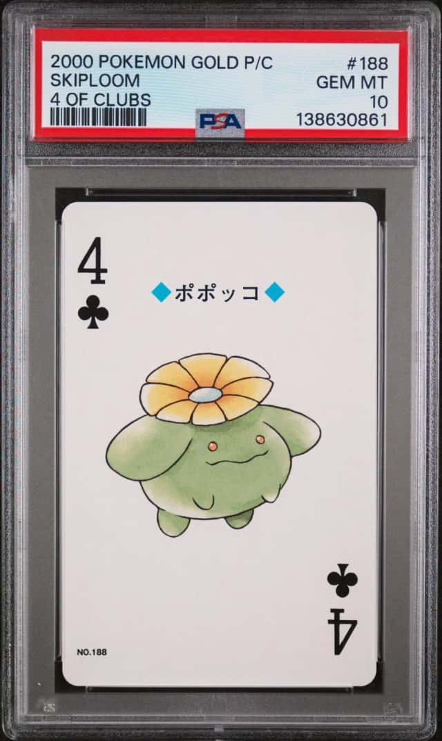 Skiploom