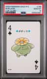 Skiploom