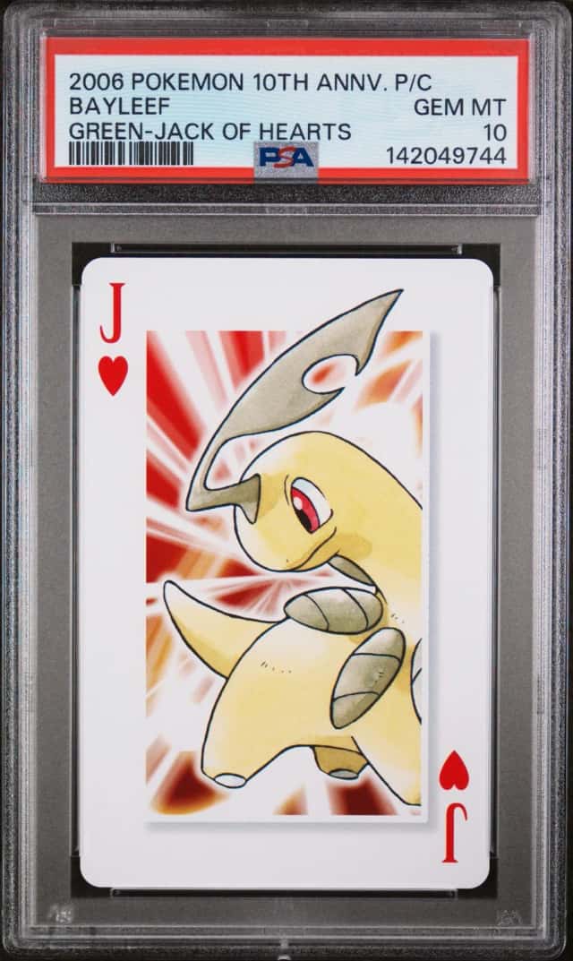 Bayleef