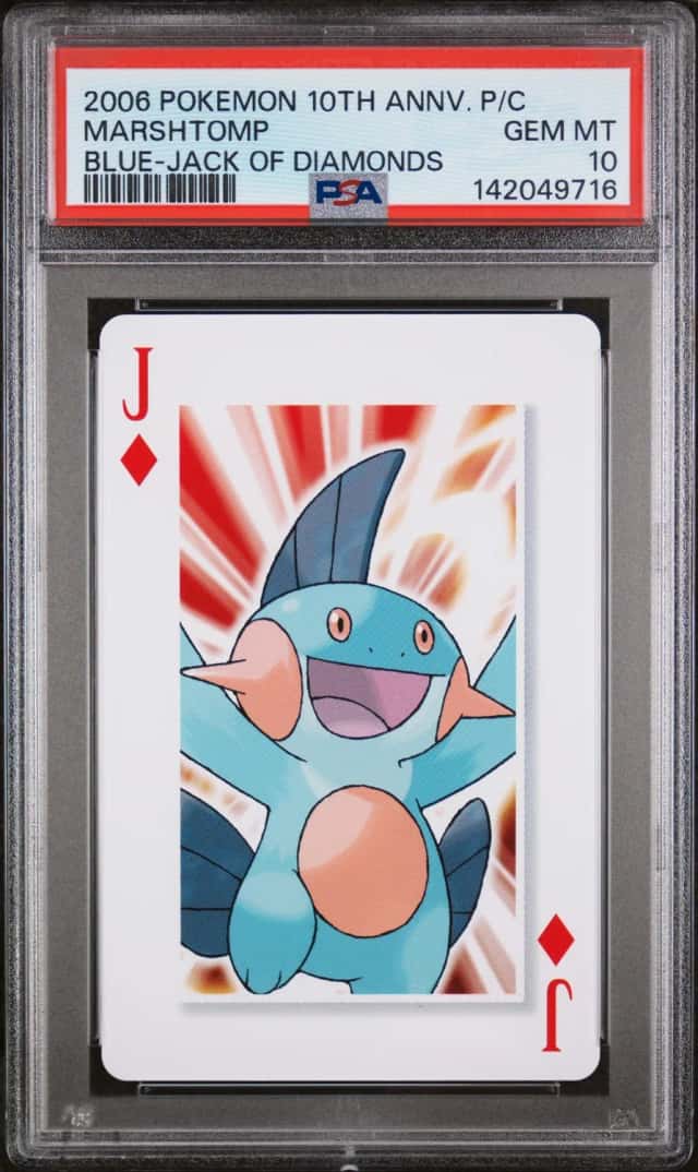Marshtomp