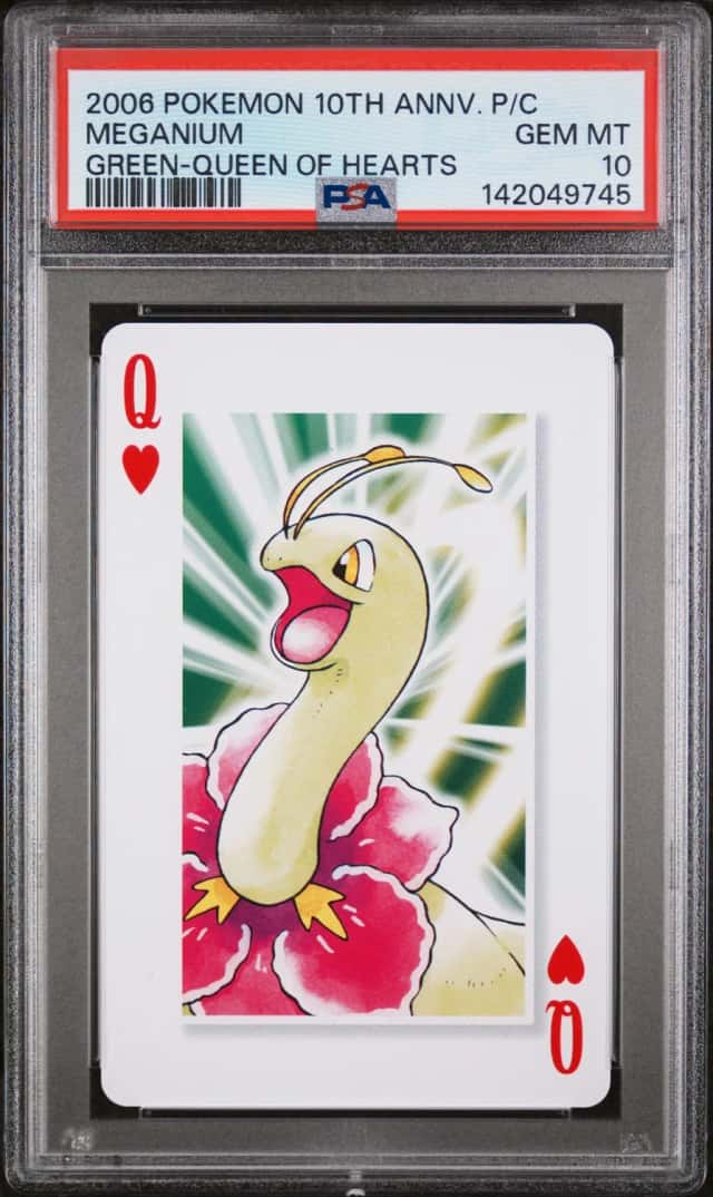 MEGANIUM