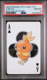 Torchic