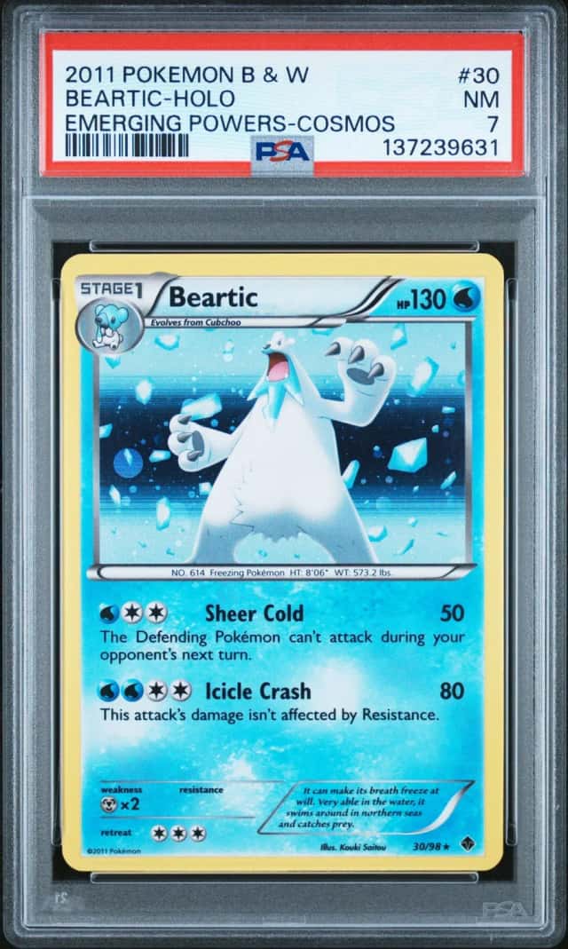 BEARTIC-REV.FOIL