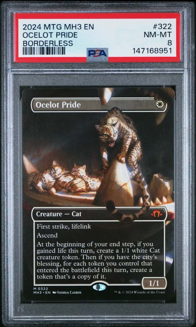 Ocelot Pride