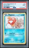 Magikarp