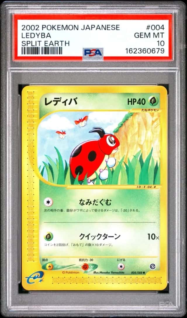 Ledyba
