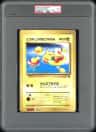 Pikachus Smr.vacation