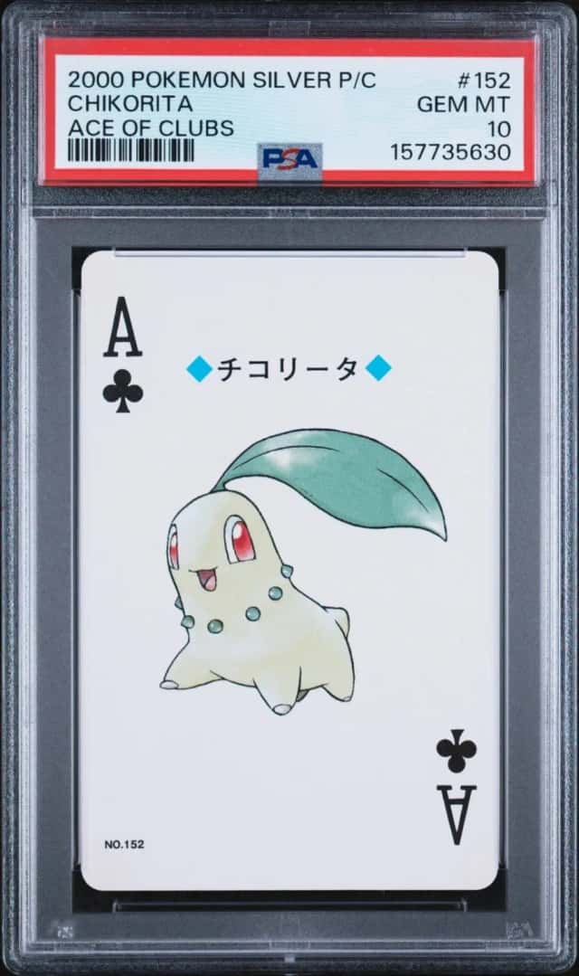Chikorita