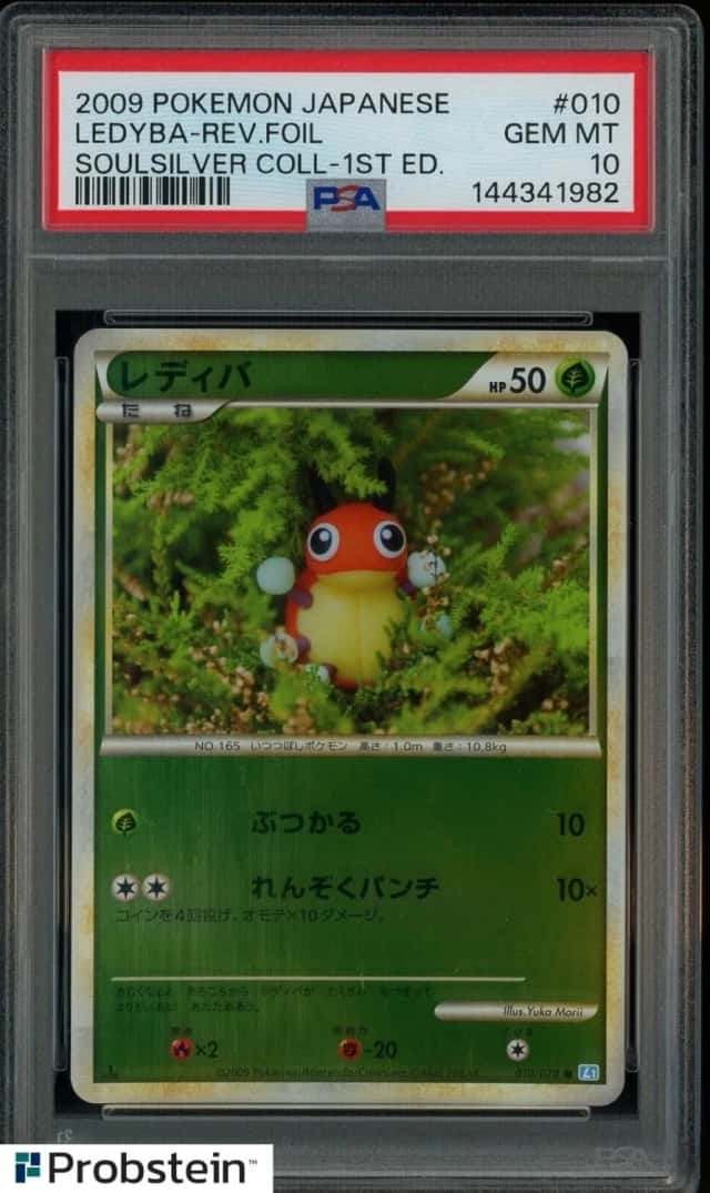 Ledyba