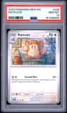Raticate
