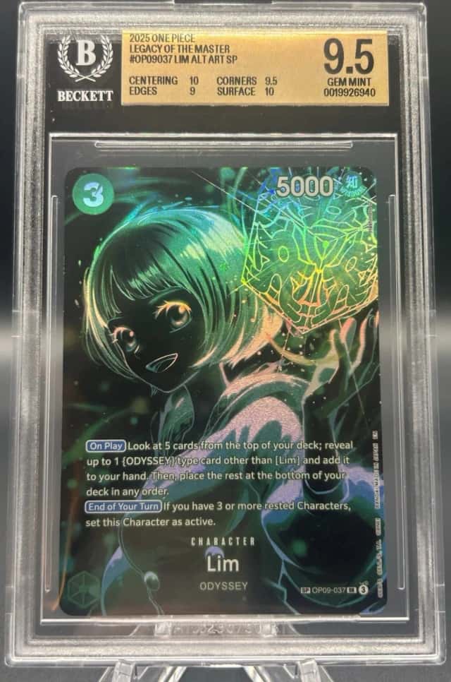 Lim ALT ART SP