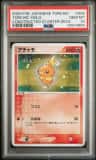 Torchic