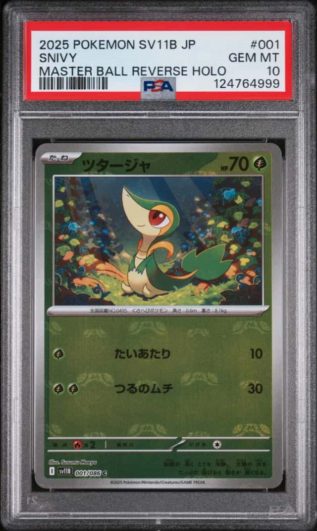 Snivy
