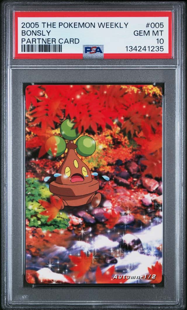 Bonsly