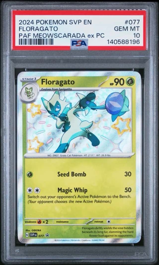 Floragato