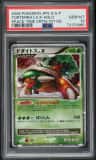 Torterra Lv X