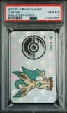 Leafeon