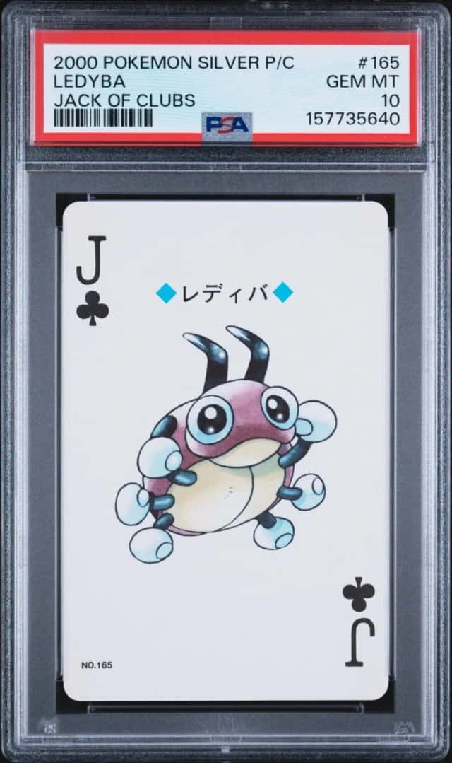 Ledyba