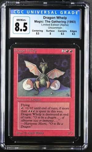 Dragon Whelp