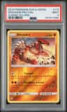 Groudon