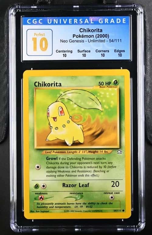 Chikorita