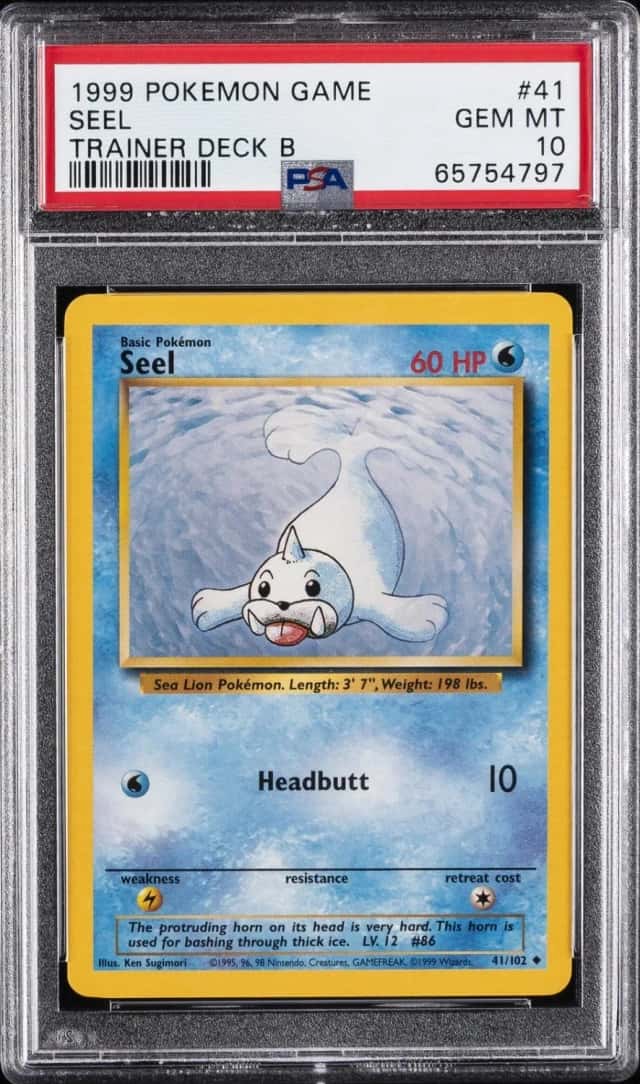 Seel
