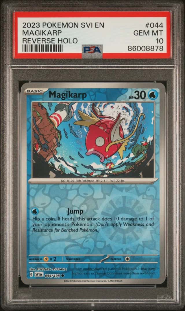 Magikarp