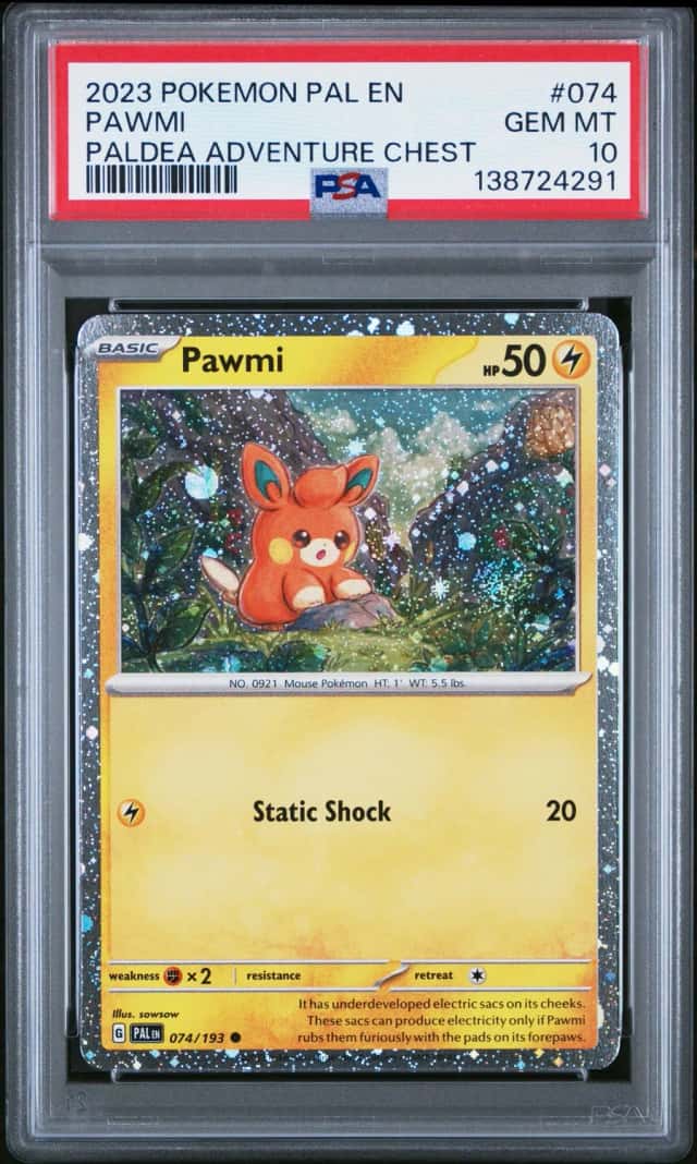 Pawmi
