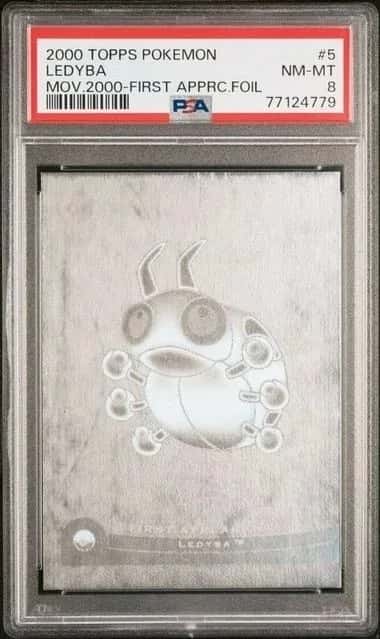 Ledyba