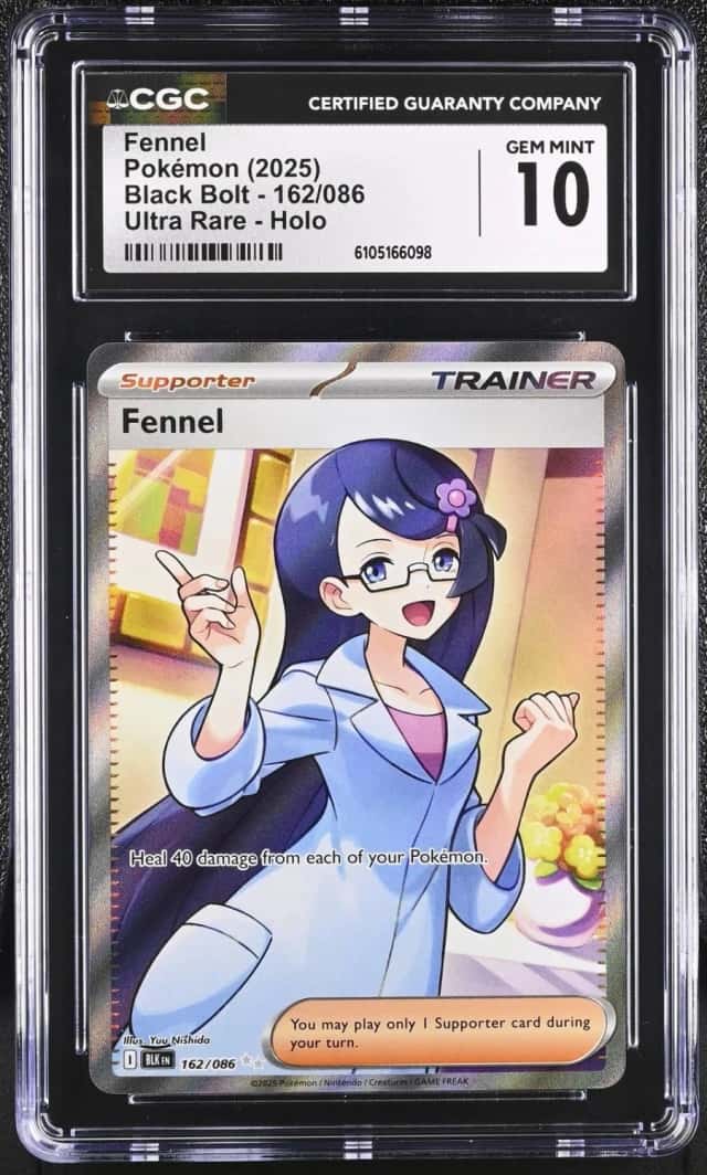 Fennel