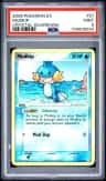 Mudkip