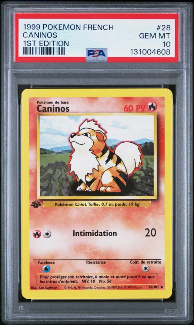 Caninos