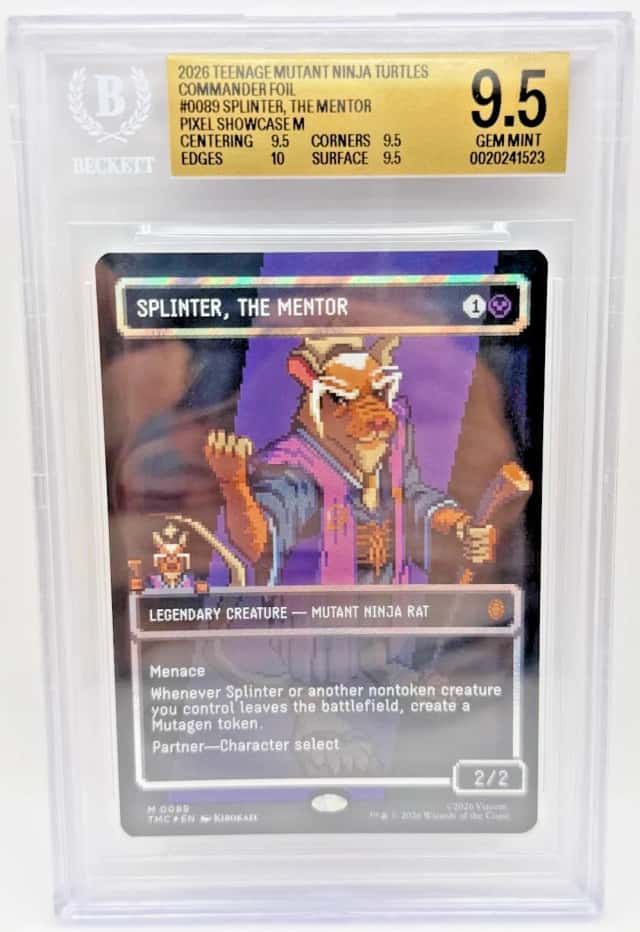 Splinter, The Mentor