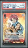 Fairy Tail Wzd, Natsu
