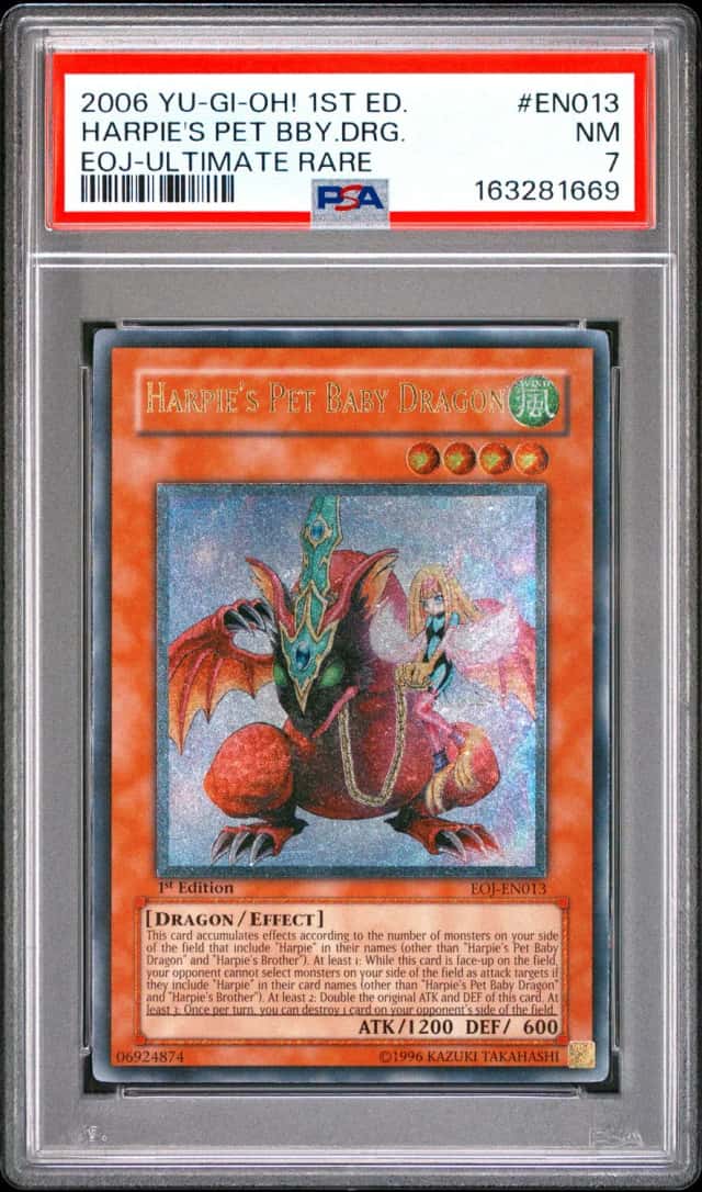 Harpie's Pet Baby Dragon