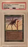 Giant Spider