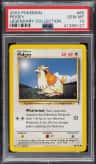 Pidgey