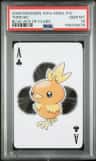 Torchic