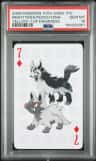 Mightyena/poochyena