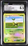 Turtwig