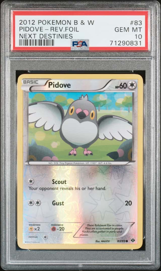 PIDOVE