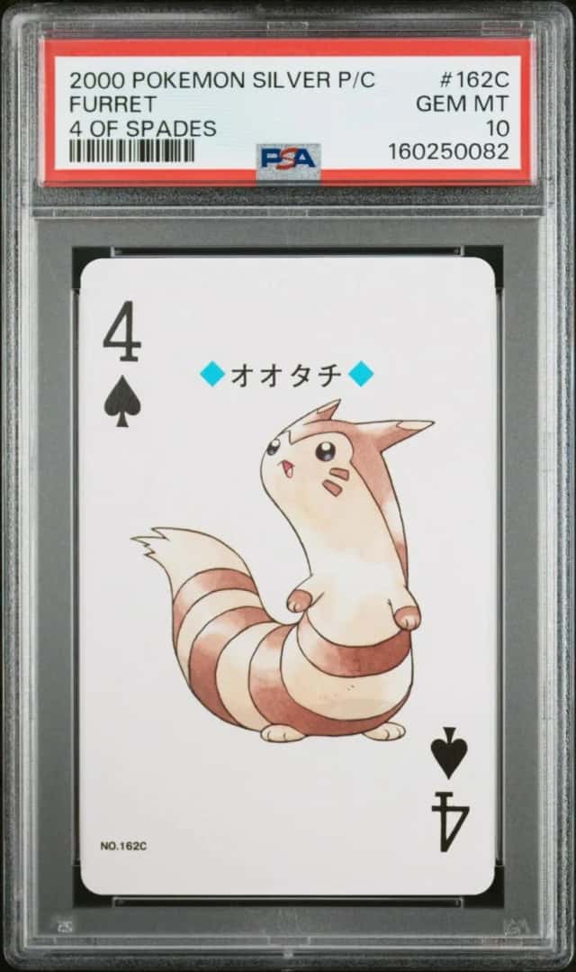 Furret