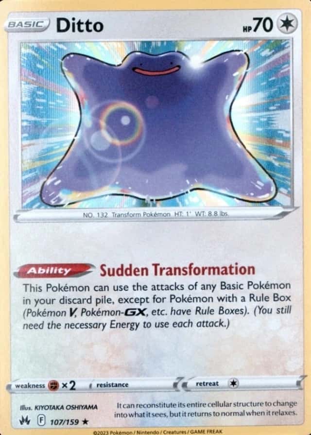 Holo