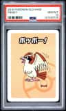 Pidgey