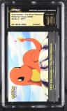 Charmander/stry.pkmn