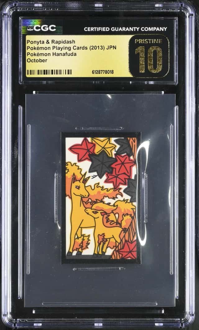 Ponyta & Rapidash